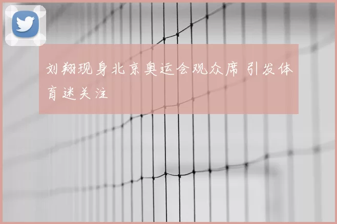 刘翔现身北京奥运会观众席 引发体育迷关注