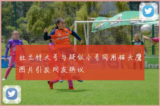 杜兰特大号与疑似小号同用猫头鹰图片引发网友热议