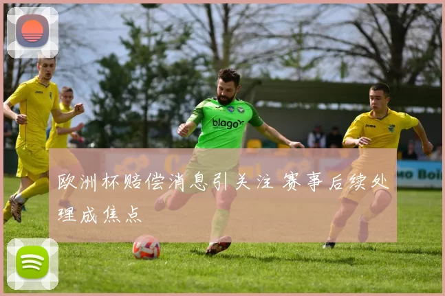 欧洲杯赔偿消息引关注 赛事后续处理成焦点
