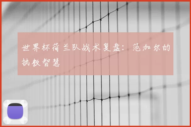 世界杯荷兰队战术复盘：范加尔的执教智慧
