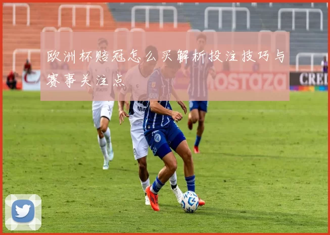 欧洲杯赔冠怎么买解析投注技巧与赛事关注点