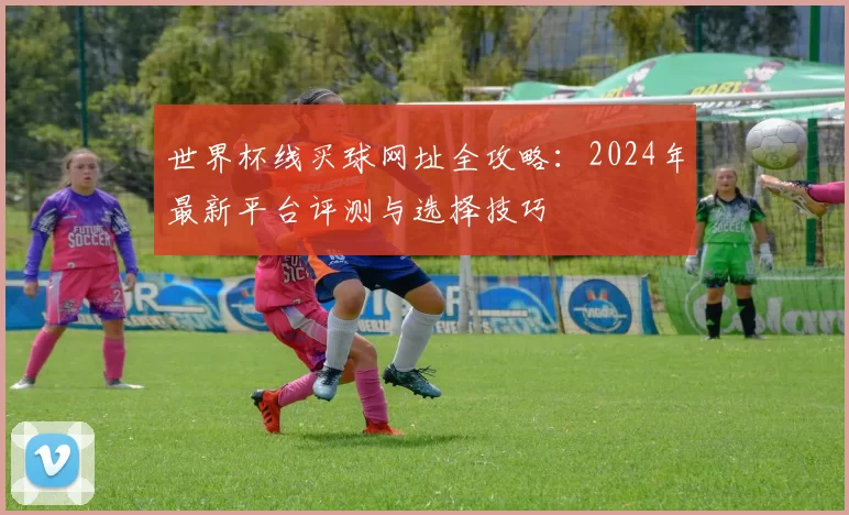世界杯线买球网址全攻略:2024年最新平台评测与选择技巧