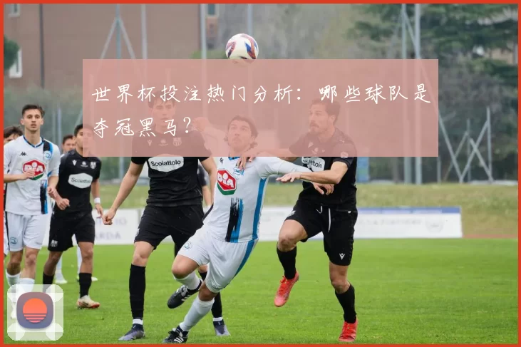 世界杯投注热门分析:哪些球队是夺冠黑马?