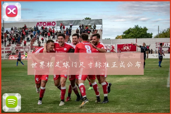 世界杯足球门尺寸标准正式公布