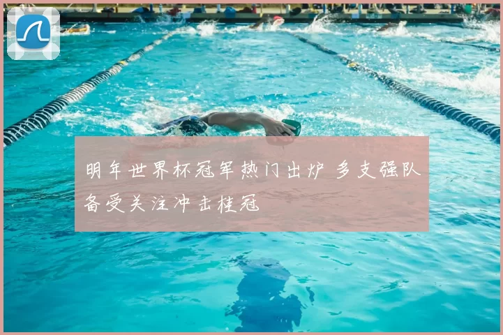 明年世界杯冠军热门出炉 多支强队备受关注冲击桂冠