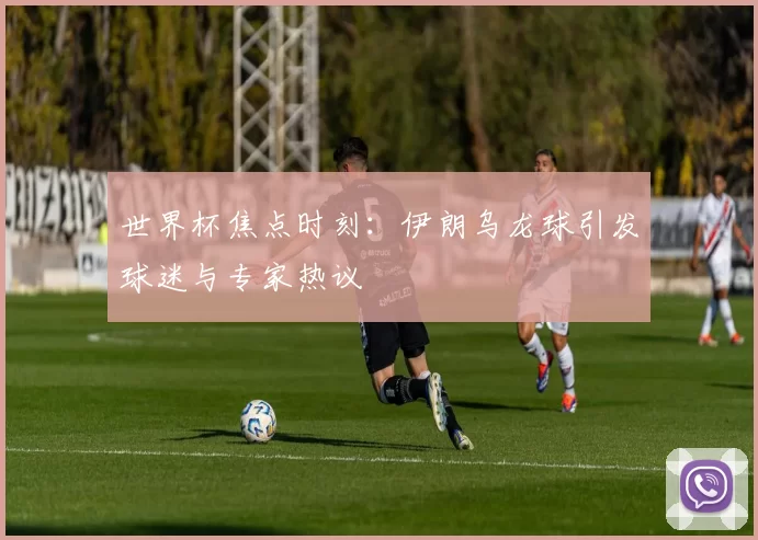 世界杯焦点时刻:伊朗乌龙球引发球迷与专家热议