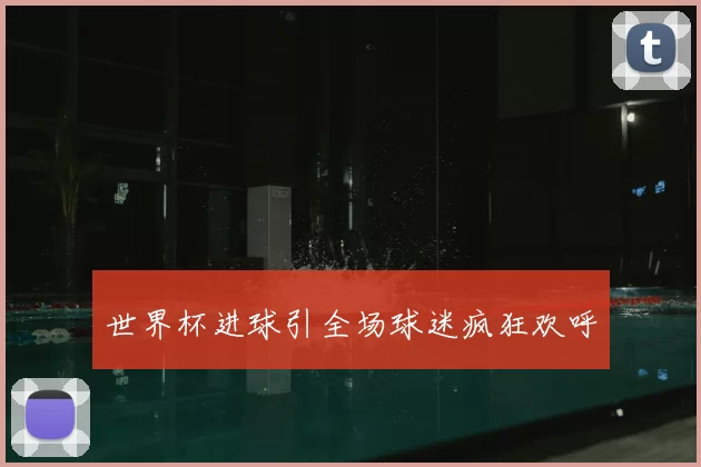 世界杯进球引全场球迷疯狂欢呼