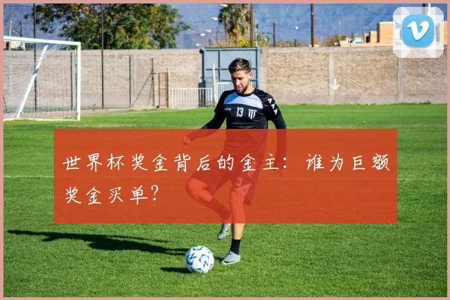 世界杯奖金背后的金主:谁为巨额奖金买单?
