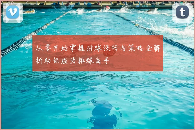 从零开始掌握排球技巧与策略全解析助你成为排球高手