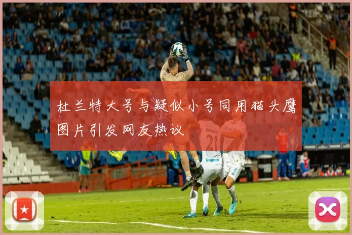 杜兰特大号与疑似小号同用猫头鹰图片引发网友热议