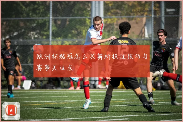 欧洲杯赔冠怎么买解析投注技巧与赛事关注点