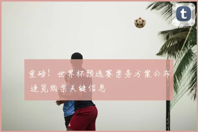 重磅！世界杯预选赛票务方案公布 速览购票关键信息