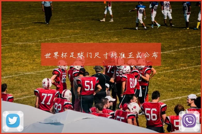 世界杯足球门尺寸标准正式公布