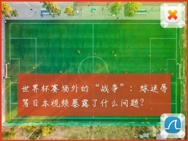 世界杯赛场外的“战争”:球迷辱骂日本视频暴露了什么问题?
