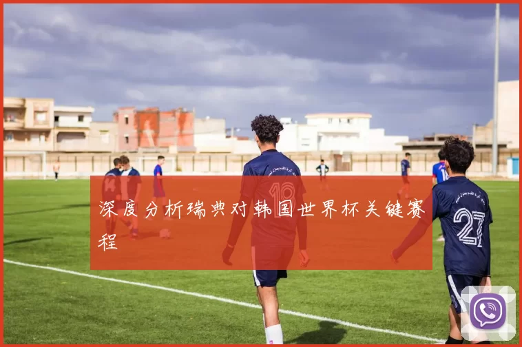 深度分析瑞典对韩国世界杯关键赛程