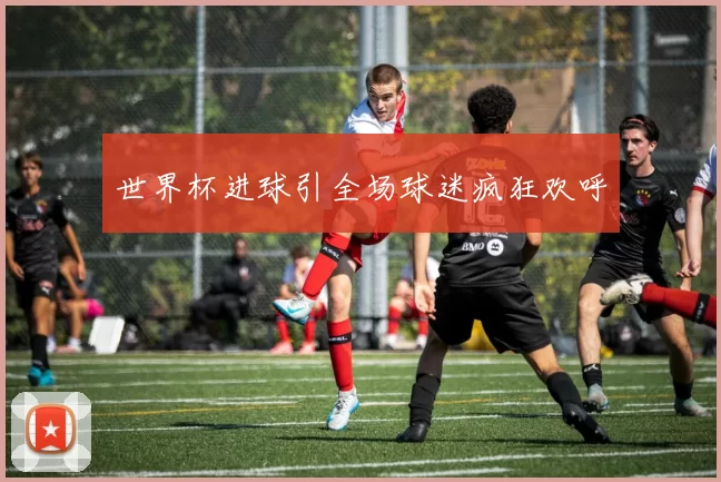 世界杯进球引全场球迷疯狂欢呼