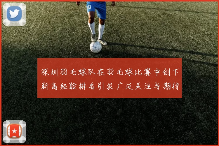 深圳羽毛球队在羽毛球比赛中创下新高经验排名引发广泛关注与期待